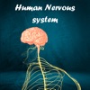 Human Nervous system