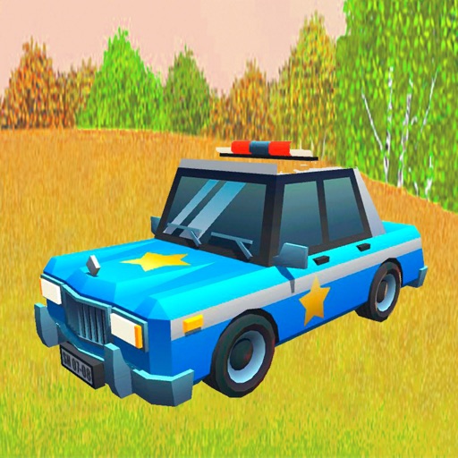 Car racing games Vehicle game Icon