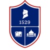 Виртуальная школа 1529
