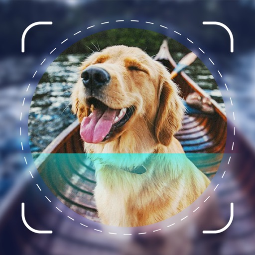 Dog Scanner - Puppy