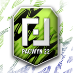 Pacwyn 22 Draft & Pack Opener на пк