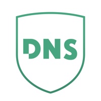 Privacy DNS app not working? crashes or has problems?