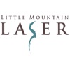 Little Mt Laser