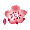 China Airlines App - China Airlines Ltd.