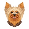 Yorkshire Terrier Stickers