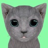Cat Simulator Online