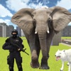 Elephant City Attack