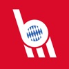Die-Bayern - Live Scores