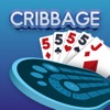 Cribbage - Offline Card Game