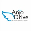 Anjo Drive Passageiro