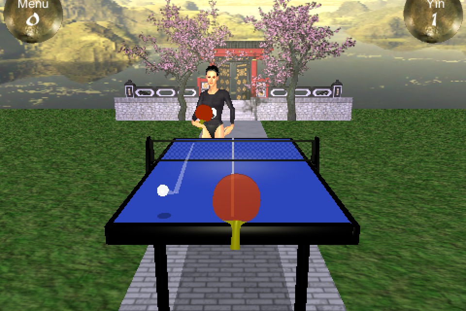 Zen Table Tennis screenshot 2