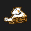 Pitbull Training