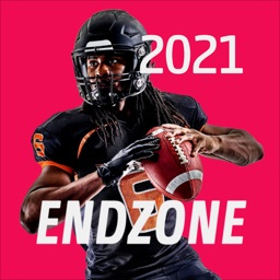 ENDZONE Franchise Football