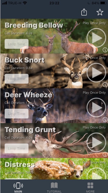 Whitetail Deer Calls for Hunt screenshot-7