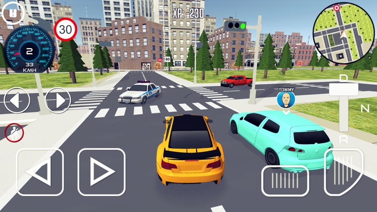 Driving School 3D Simulator screenshot-5