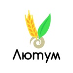 Лютум