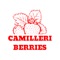 Camilleri Berries is an e-commerce application for delivering/picking up of fresh veggies and fruits as per the requirement of User at their doorstep of from shop