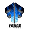 Forge Fit 24