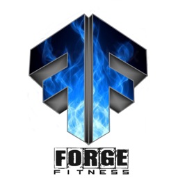 Forge Fit 24