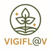 Vigifl@v
