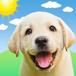 Weather Puppy Forecast + Radar icon