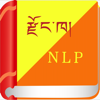 Dzongkha NLP - College of Science and Technology