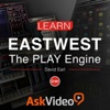 Learn the PLAY Engine