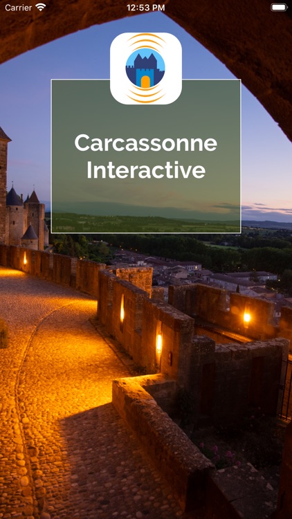 Carcassonne Interactive