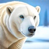 Polar Bear Hunting Simulator