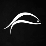 O PESCADOR SAL DA TERRA