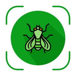 Bug & Insect Identifier