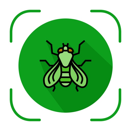 Bug & Insect Identifier