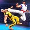Polish your kung fu karate skills in this unique offline fighting game