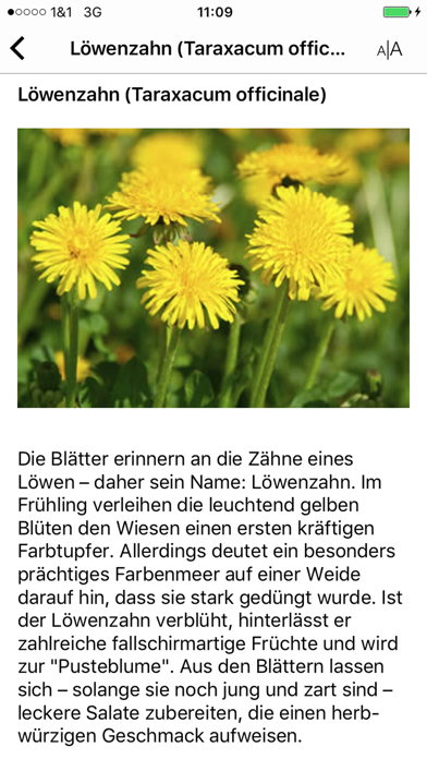 Screenshot #3 pour Roemer-APOTHEKE