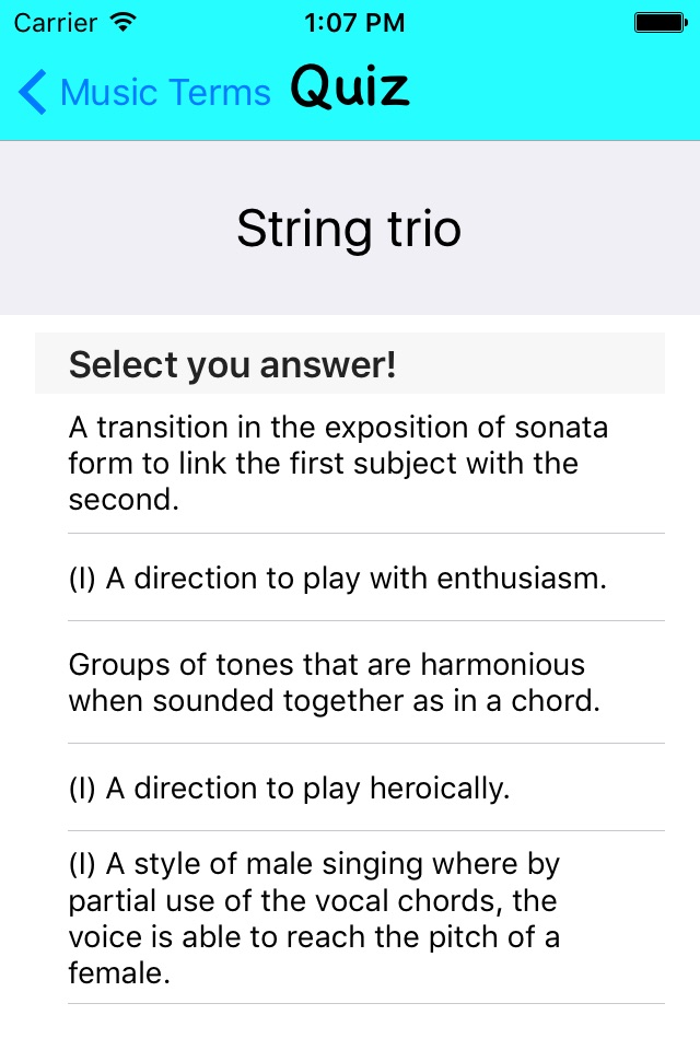 Music Terms screenshot 2