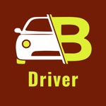 Boo Boo Cab Driver