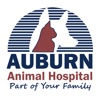 Auburn Vet