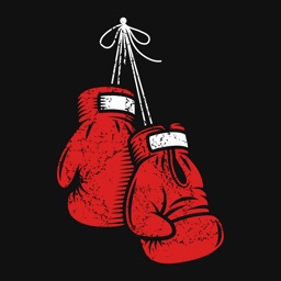 Gloves Up: A Boxing Game