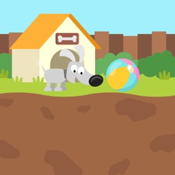 Dog Playball