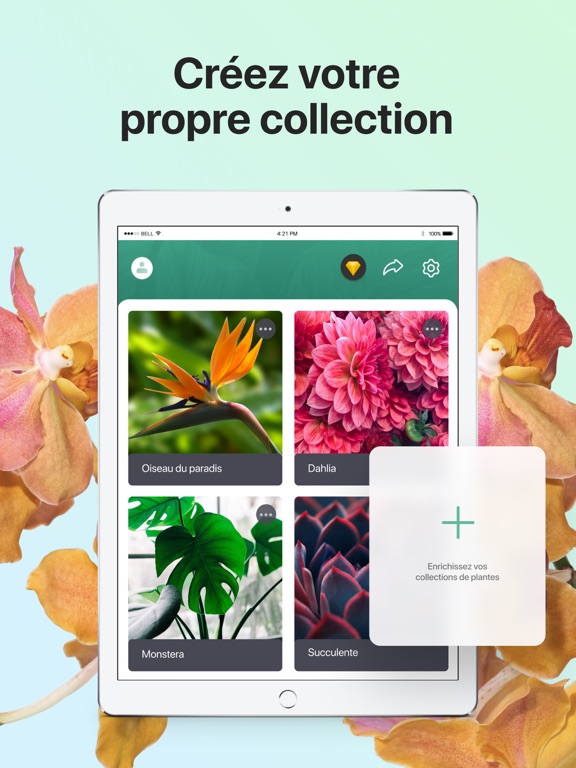 PictureThis-Identifier Plantes PictureThis-Identifier Plantes
