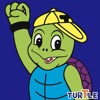 Turtle Sports Club