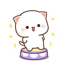 Peach Cat So Cute