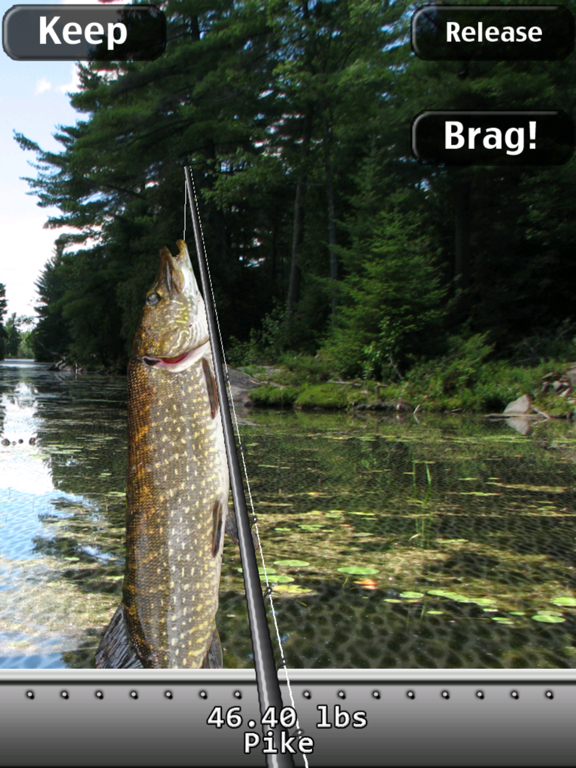 i Fishing HD для iPad