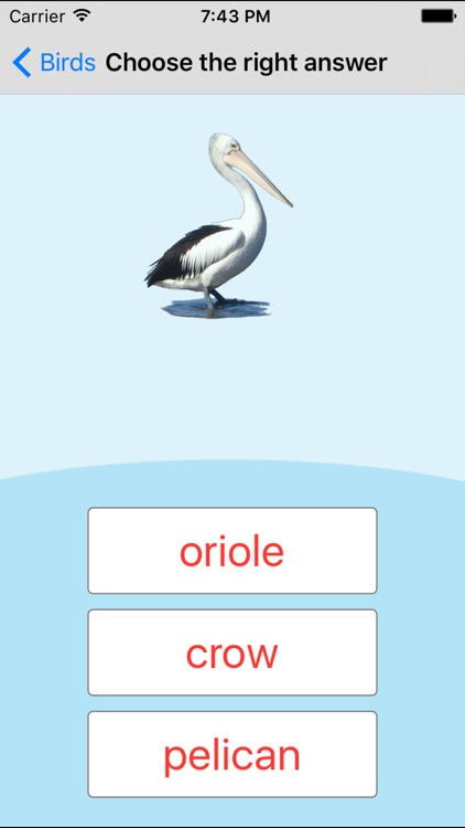 Birds Learning Cards screenshot-3