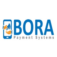 Bora Payments Business