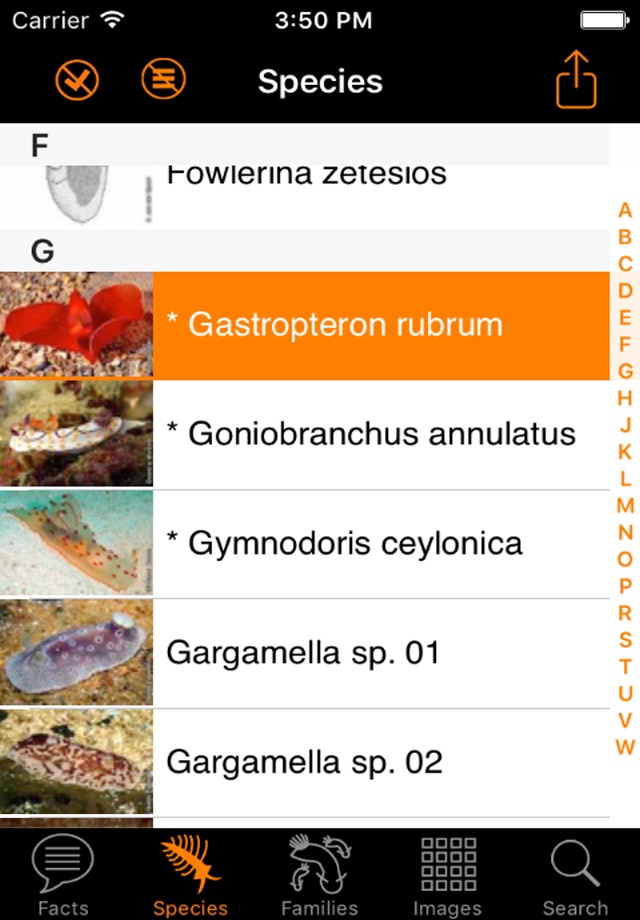 Nudibranch ID E Atlantic Med screenshot 3