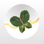 Thyroid Diet- JuicingEating Plan for Weight Loss