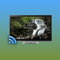 App Icon for Waterfall on TV for Chromecast App in Uruguay IOS App Store