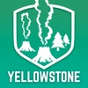 Icon Yellowstone National Park