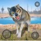 Icon Wolf Game Simulator 3D
